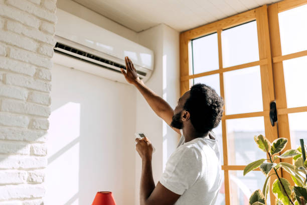 Best HVAC air duct cleaning  in Reese, MI